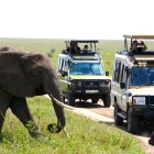 Postponed: Yoga & Safari Retreat in Tanzania