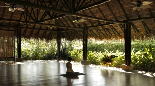 Yoga Flow & Meditation: Stimulus, Response & The Space Between