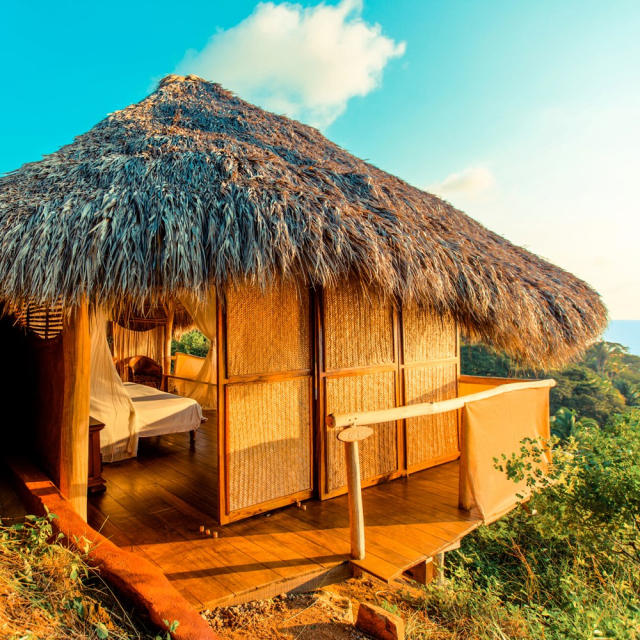 Live Your Yoga in Mexico