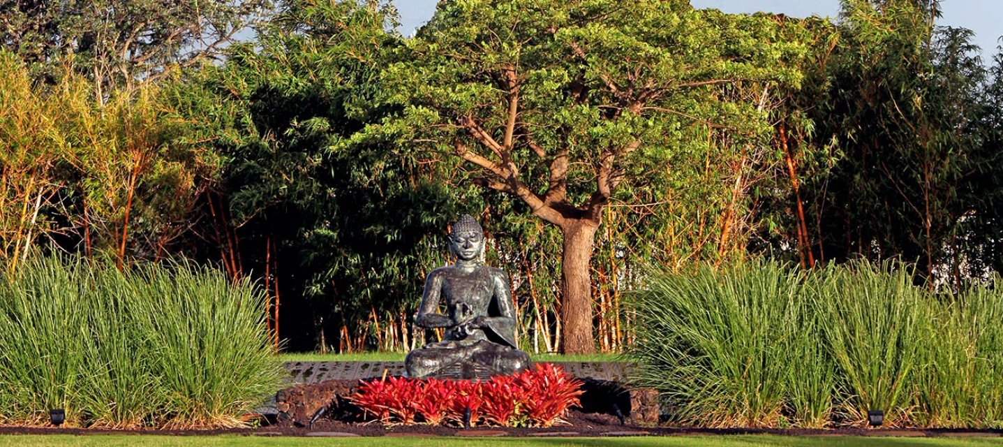 Manifest Your Way to Maui by Hillary Skibell