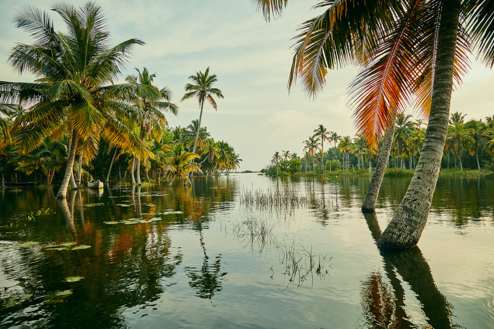 Yoga & Ayurveda in Southern India