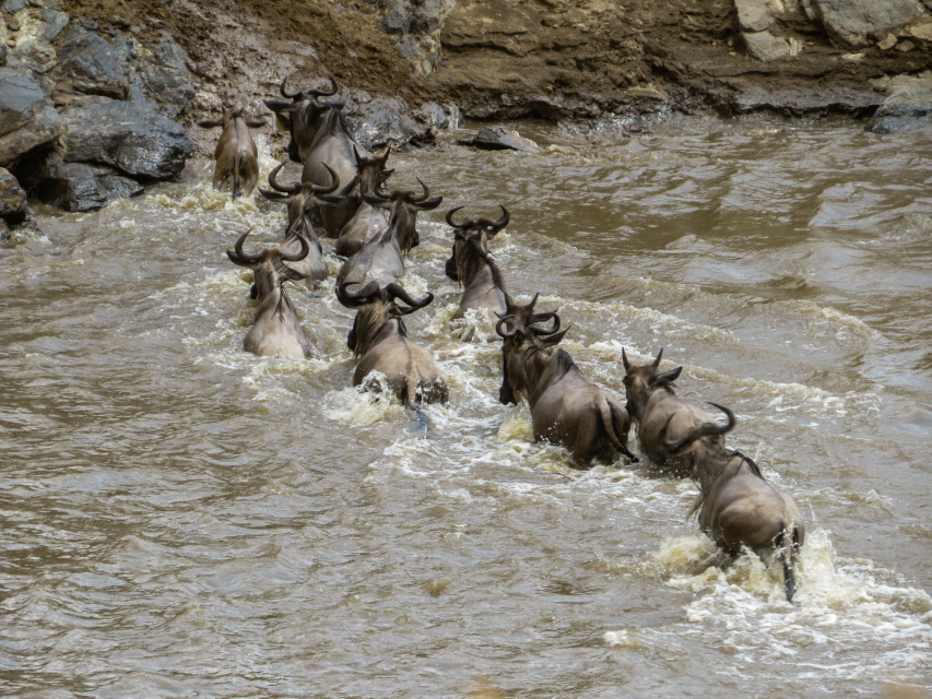 Tanzania, Africa, Africa