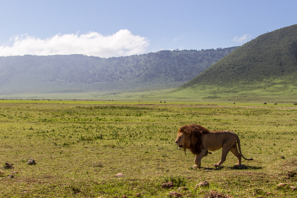 Tanzania, Africa, Africa