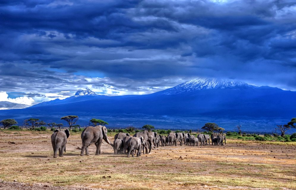 Retreat & Safari in Tanzania