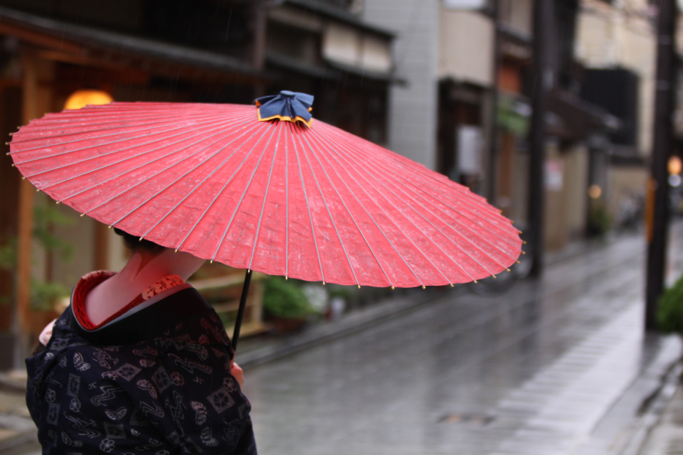 Tea, Taiko, Trikonasana and Tempura: A Journey Through Japan