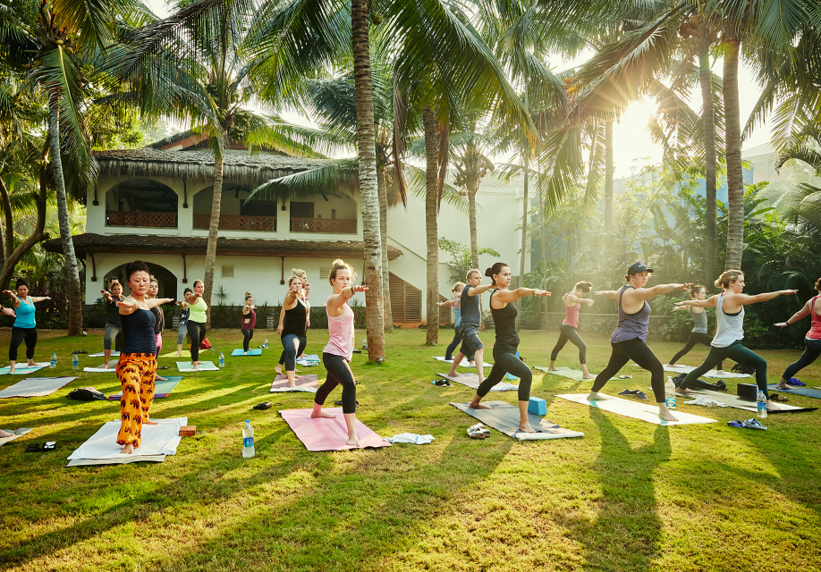 Welcome to the IY Blog!