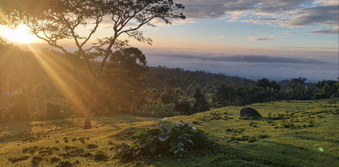 Yoga on Safari in Spectacular Tanzania - Waitlist only!