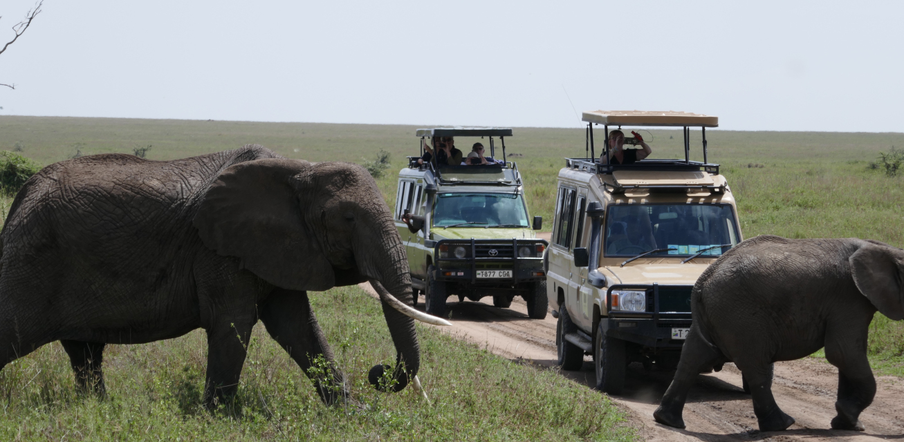 Yoga on Safari in Spectacular Tanzania - Waitlist only!