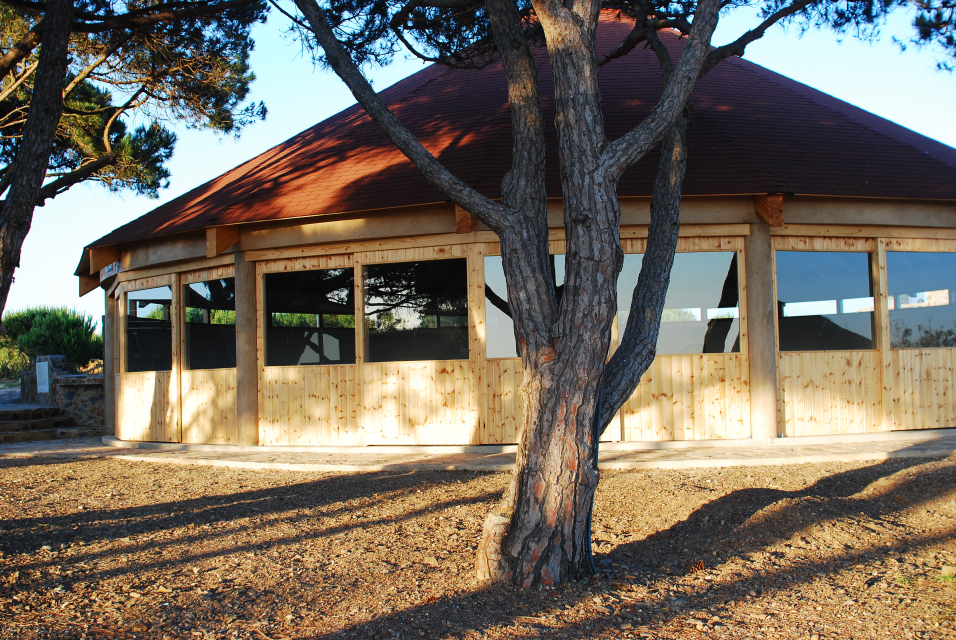 Yoga & Rejuvenation in Portugal