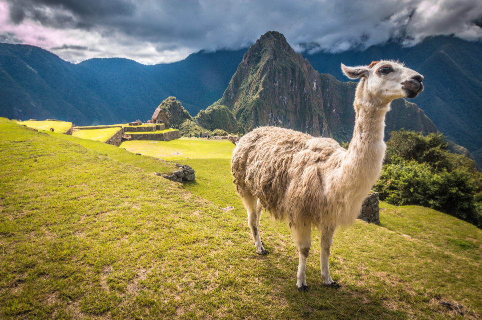 Peace in Peru: Retreat to the Sacred Mountains
