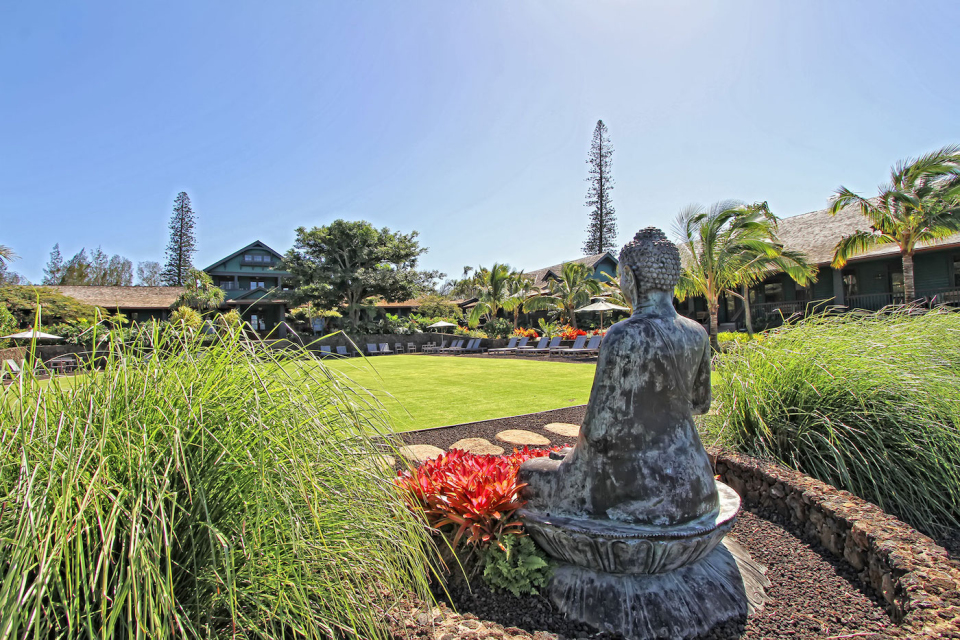 POSTPONED: Yoga, Ceremony and Maui Adventures
