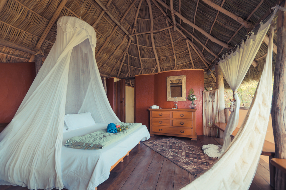 Bhakti Bliss in Mexico: Holy Solstice Days Retreat