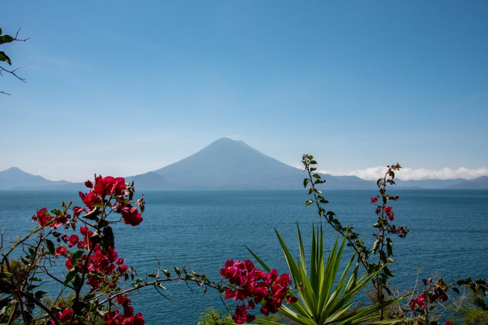 Returning Home By Erika Trice