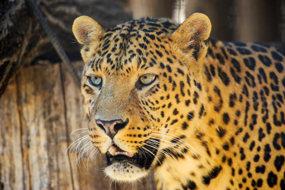 Roam & Rest in Tanzania