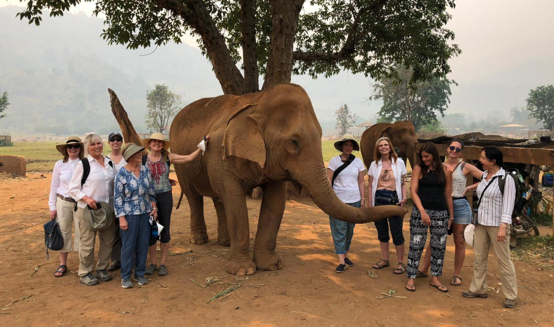 Yoga & Culture in Thailand
