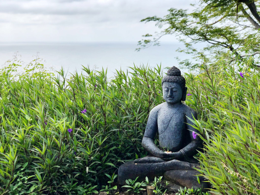 Flow & Restore in Paradise