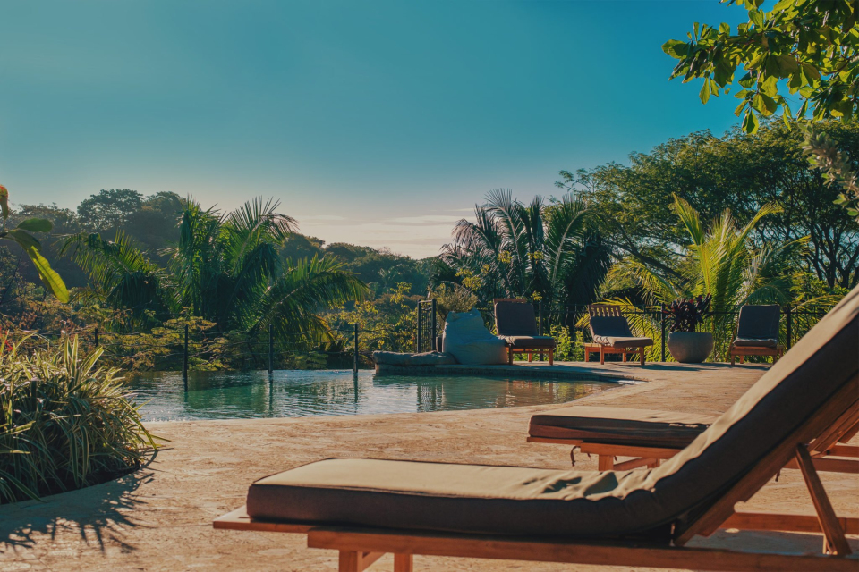 Spring Revival Retreat: A Joyful & Complete Rejuvenation of the Body, Mind, and Spirit!