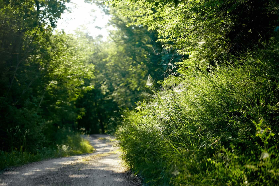 Peace & Vitality in Umbria