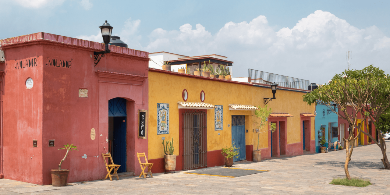 Murals, Mole & Mudita in Oaxaca