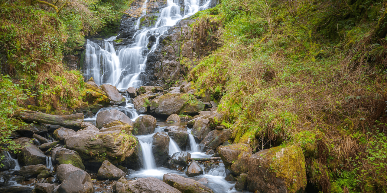 Retreat to The Emerald Isle: Yoga in Ireland