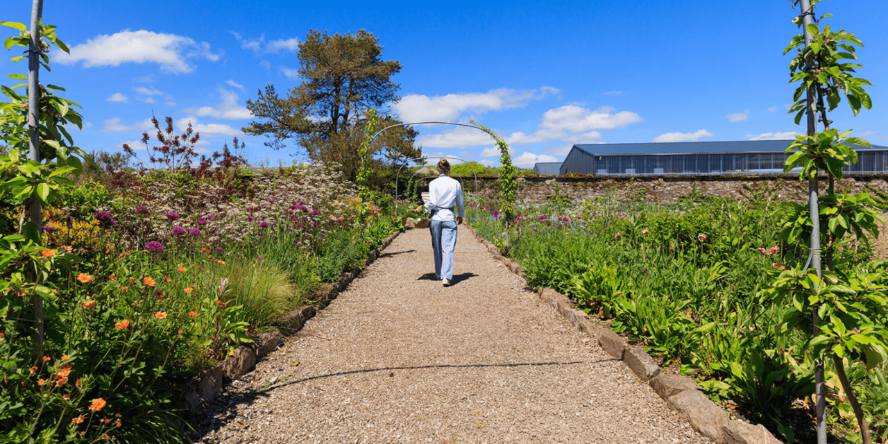 Retreat to The Emerald Isle: Yoga in Ireland