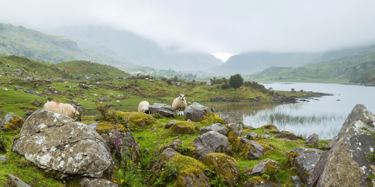 Retreat to The Emerald Isle: Yoga in Ireland