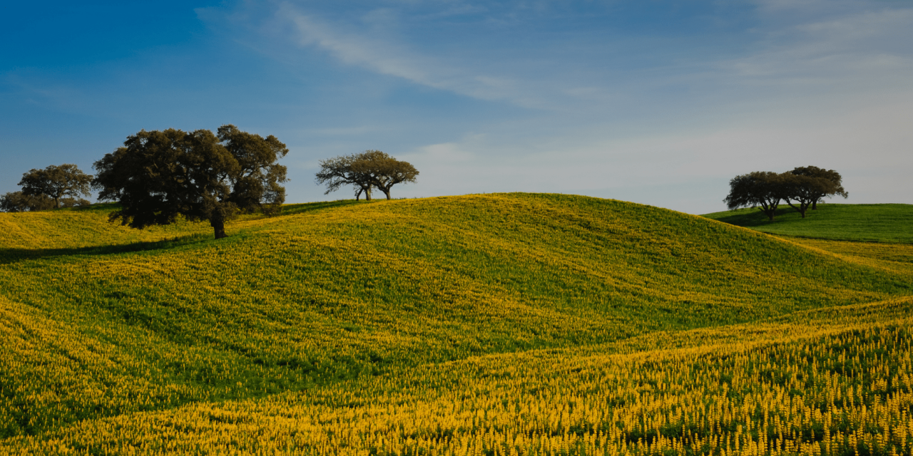 Presence in Portugal: A Joyful Yoga Retreat