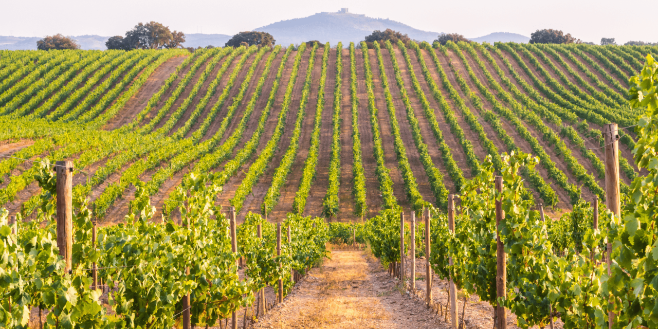 Presence in Portugal: A Joyful Yoga Retreat