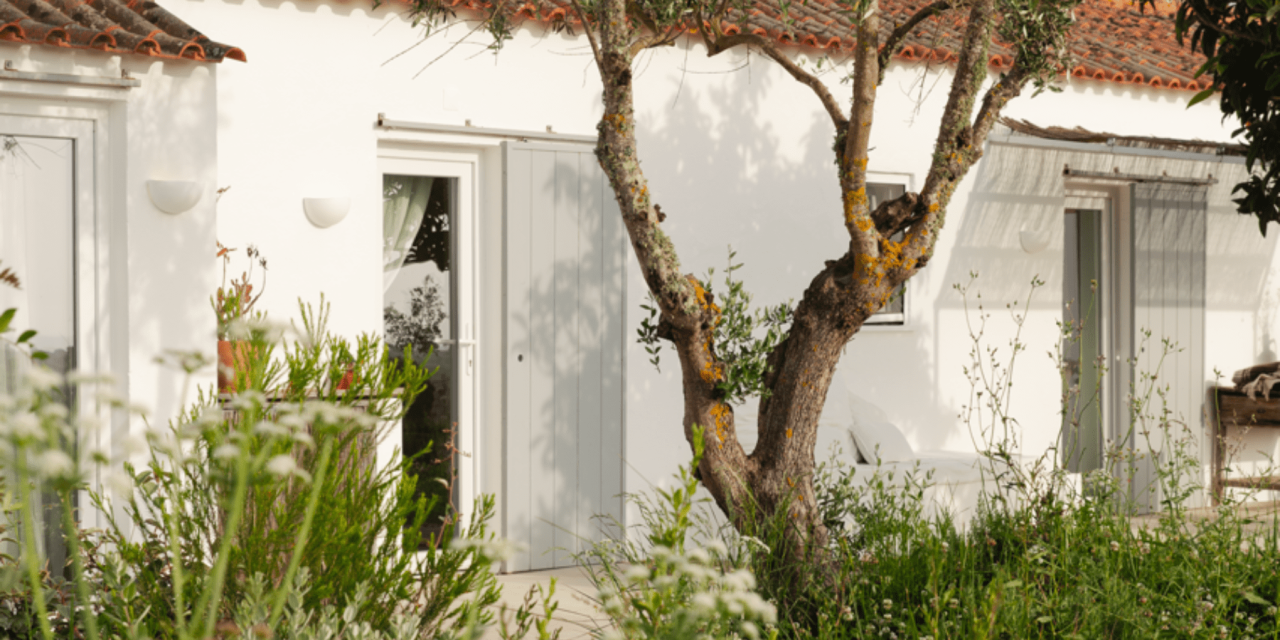 Presence in Portugal: A Joyful Yoga Retreat