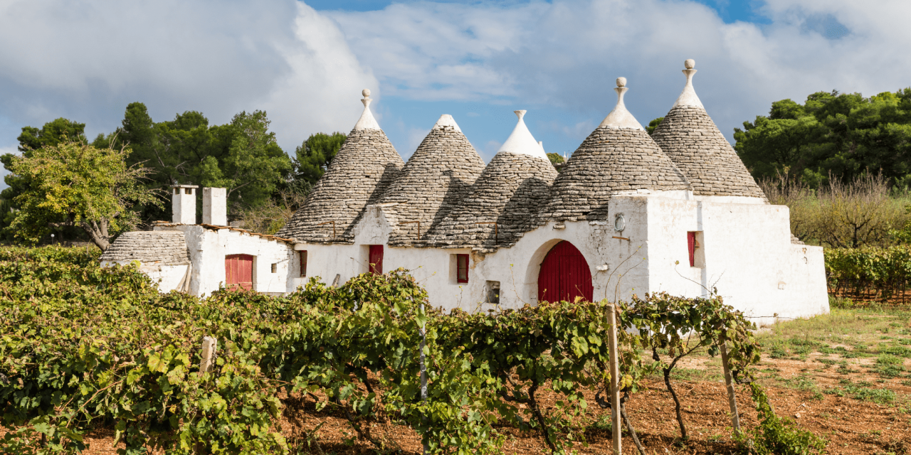 Under the Olive Sun: Yoga in Puglia