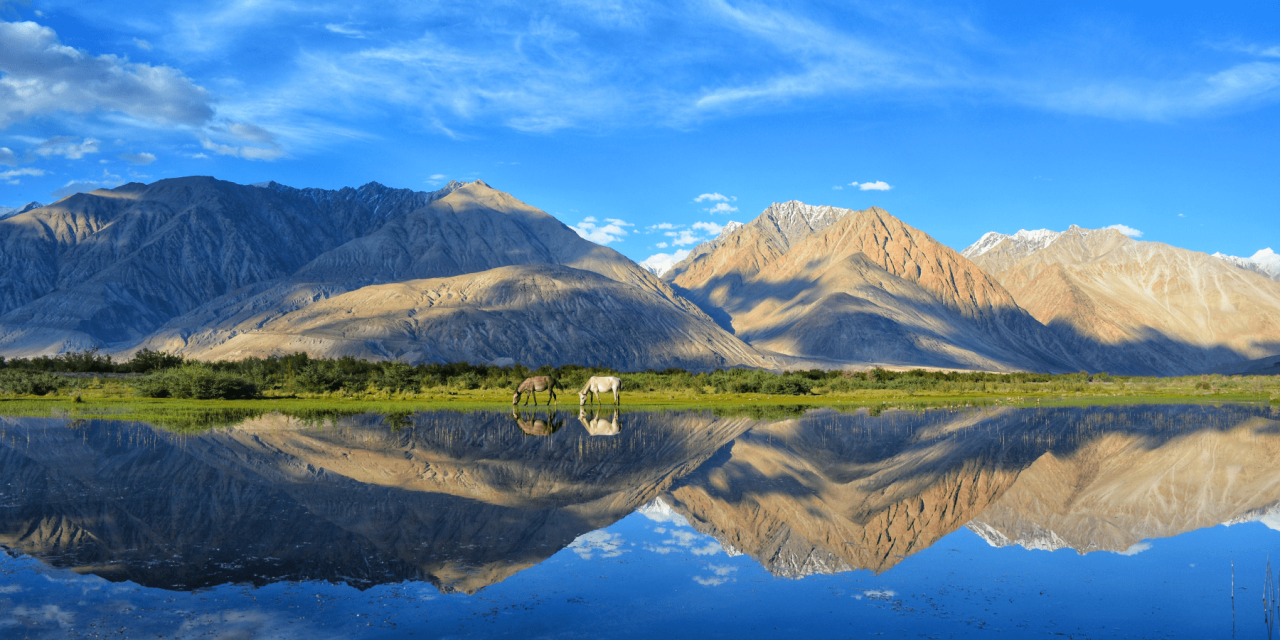 Himalayan Horizons: Yoga in Little Tibet