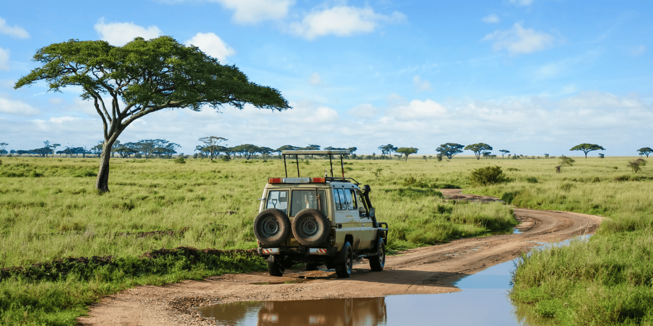 Beneath African Skies: Yoga Retreat in Tanzania