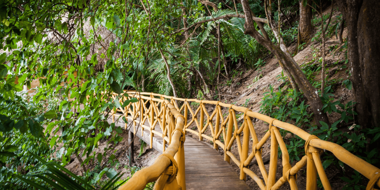 Tides & Tranquility: Yoga in Mexico