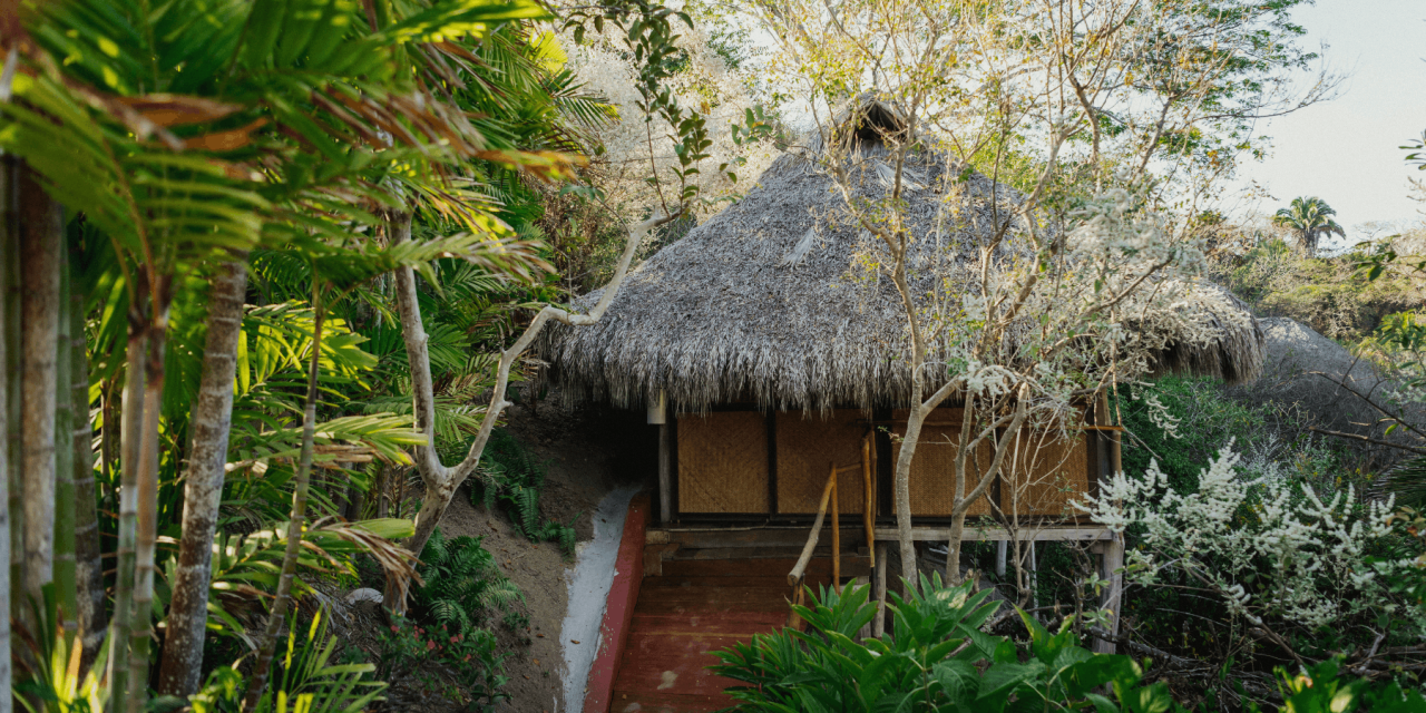 Yoga Immersion in Mexico