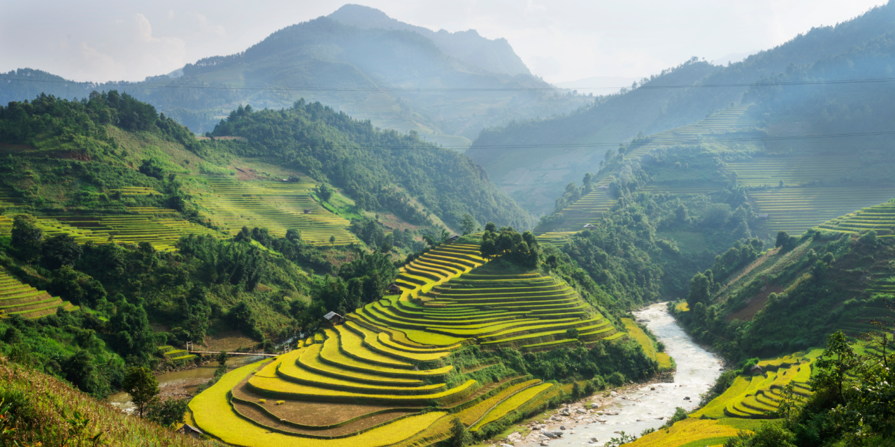 Between Being & Becoming: Yoga in Vietnam