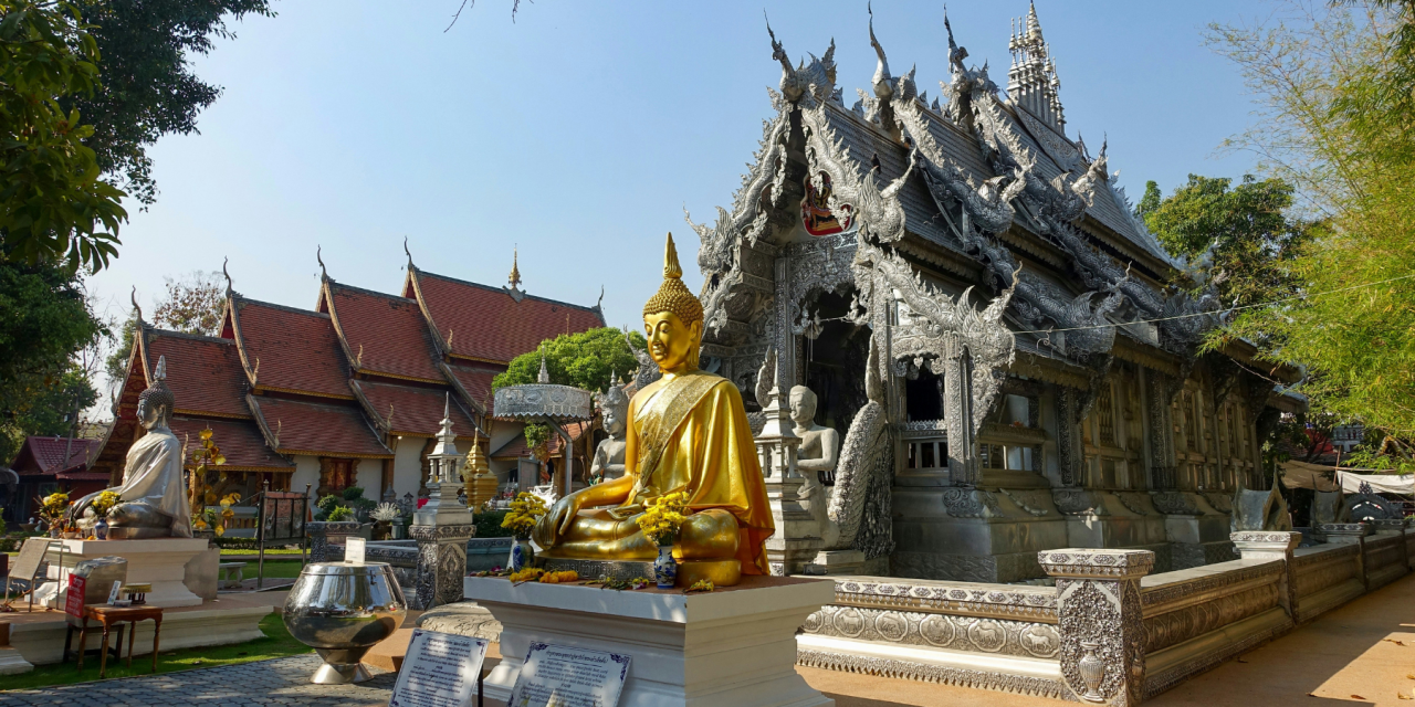 Rooted in Wonder: Thailand Yoga Retreat