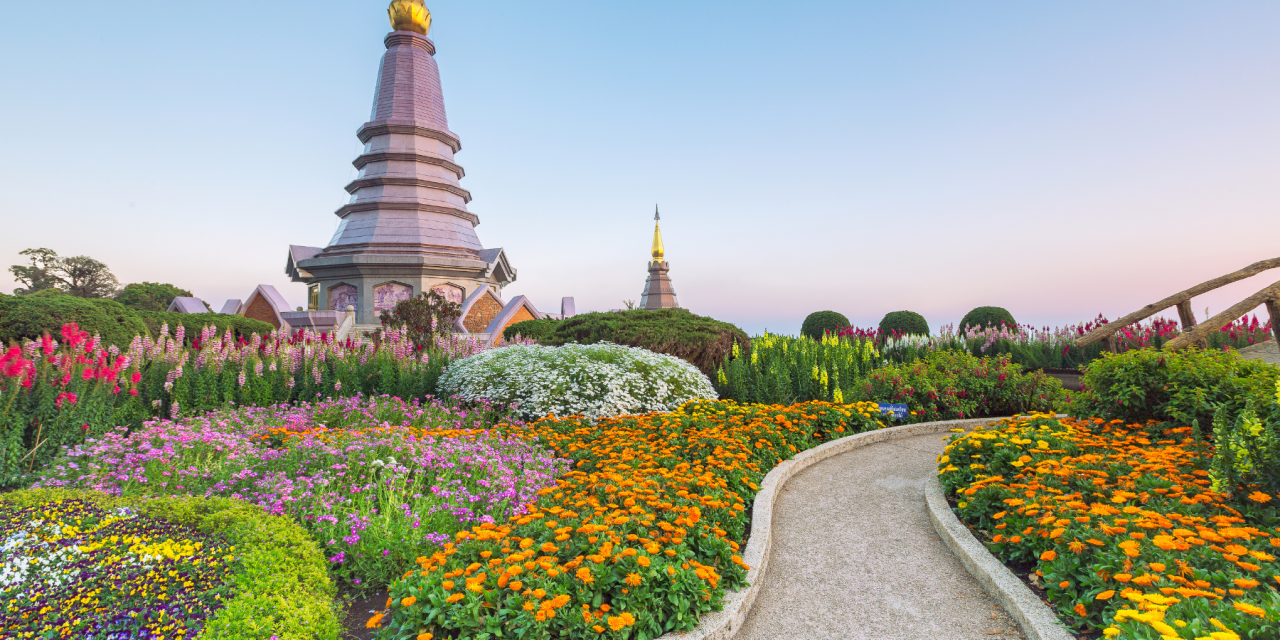 Rooted in Wonder: Thailand Yoga Retreat