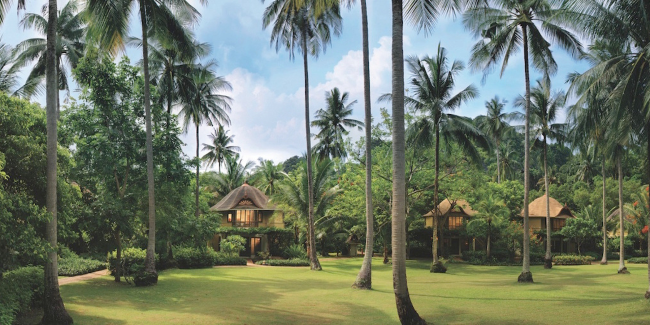 Rooted in Wonder: Thailand Yoga Retreat
