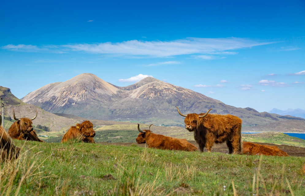 Scotland: A Yoga Journey through Castles and Countryside