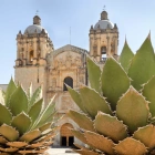 The Wondrous World of Oaxaca