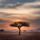 Beneath African Skies: Yoga Retreat in Tanzania