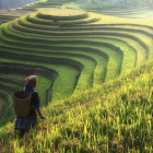 Between Being & Becoming: Yoga in Vietnam