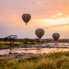 Spirit of the Serengeti: A Yoga Safari Retreat