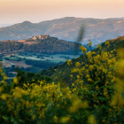 Savor the Moment: Yoga in Umbria