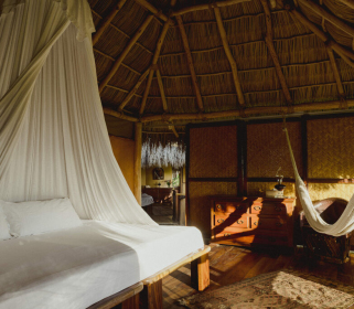 Yoga Immersion in Mexico