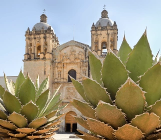 The Wondrous World of Oaxaca