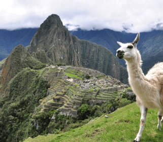 Sacred Peru Journey: Yoga + Machu Picchu Retreat