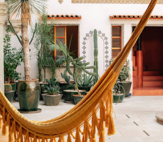 Yoga & Culture Journey to Oaxaca