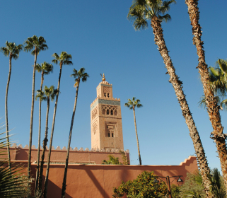 Magic in Morocco: A Vibrant Yoga Journey