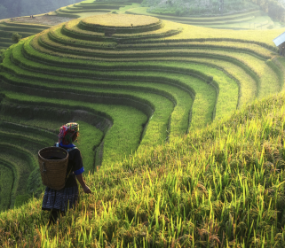 Between Being & Becoming: Yoga in Vietnam
